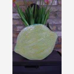 Citronvase frugt FR2