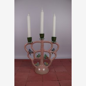 Tree of life  lysestage