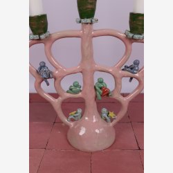 Tree of life  lysestage